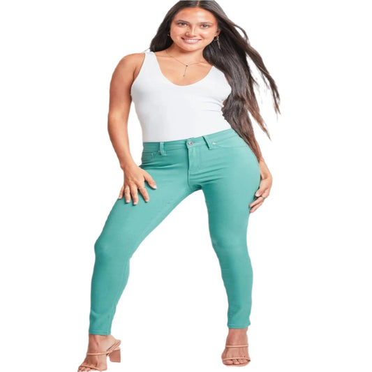 YMI Jeanswear Full Size Hyperstretch Mid-Rise Skinny Pants